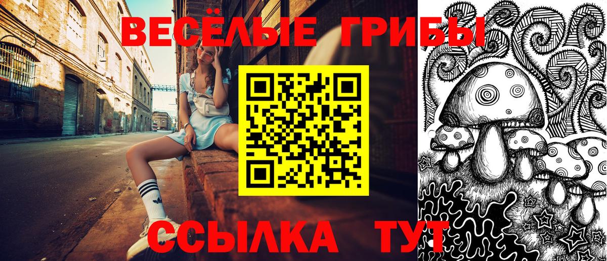 Псилоцибиновые грибы Psilocybine cubensis  купить наркоту  Асино  Вход с VPN 